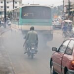 Agriculture camerounaise : l’avenir du cacao et du café