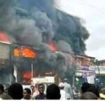 Comment réussir son projet agricole au Cameroun ?