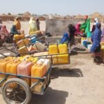 Au Cameroun, la forêt disparaît, les communautés souffrent : Greenpeace tire la sonnette d’alarme